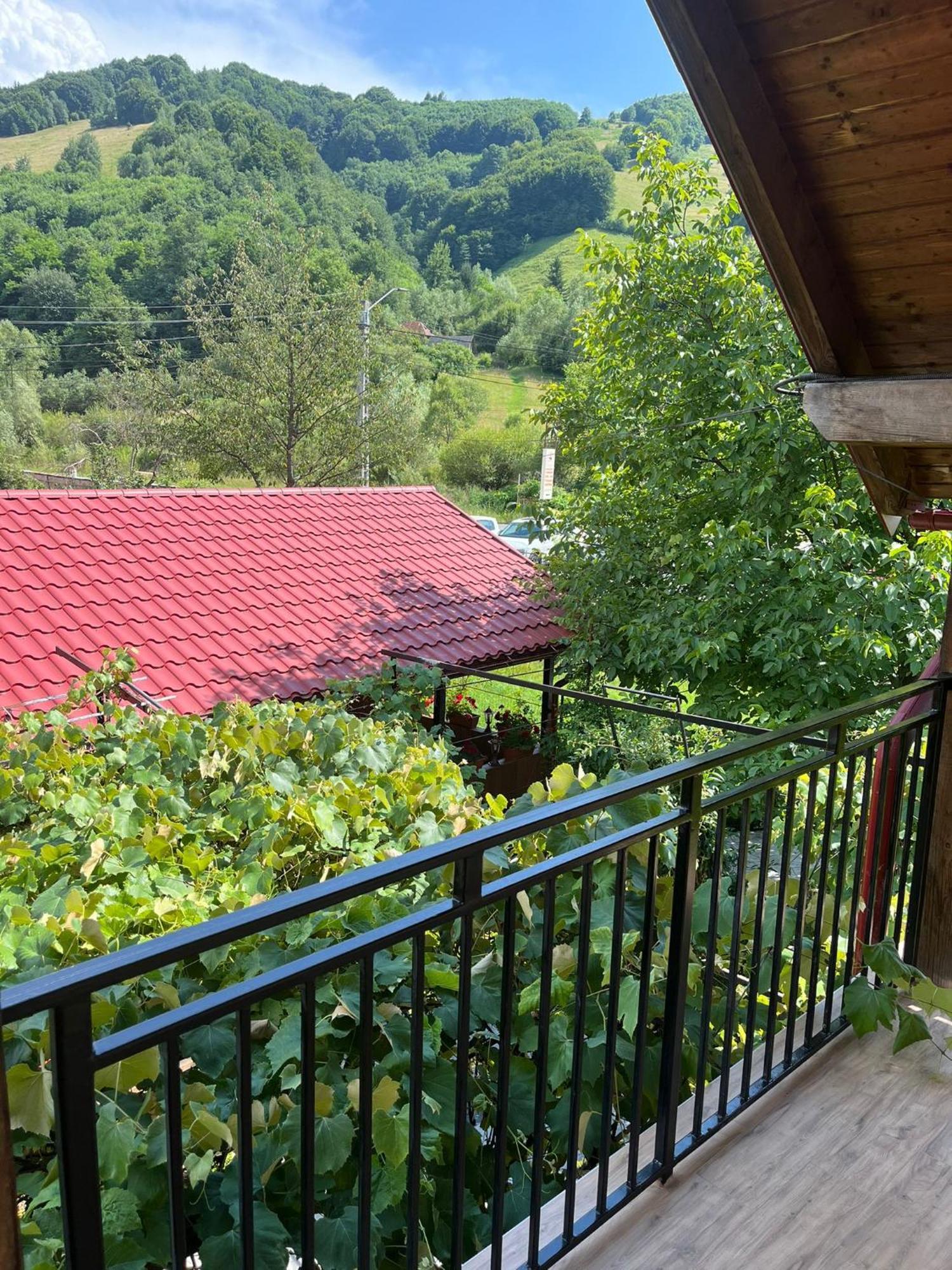 Kilometru108 Hotel Leordina Exterior photo