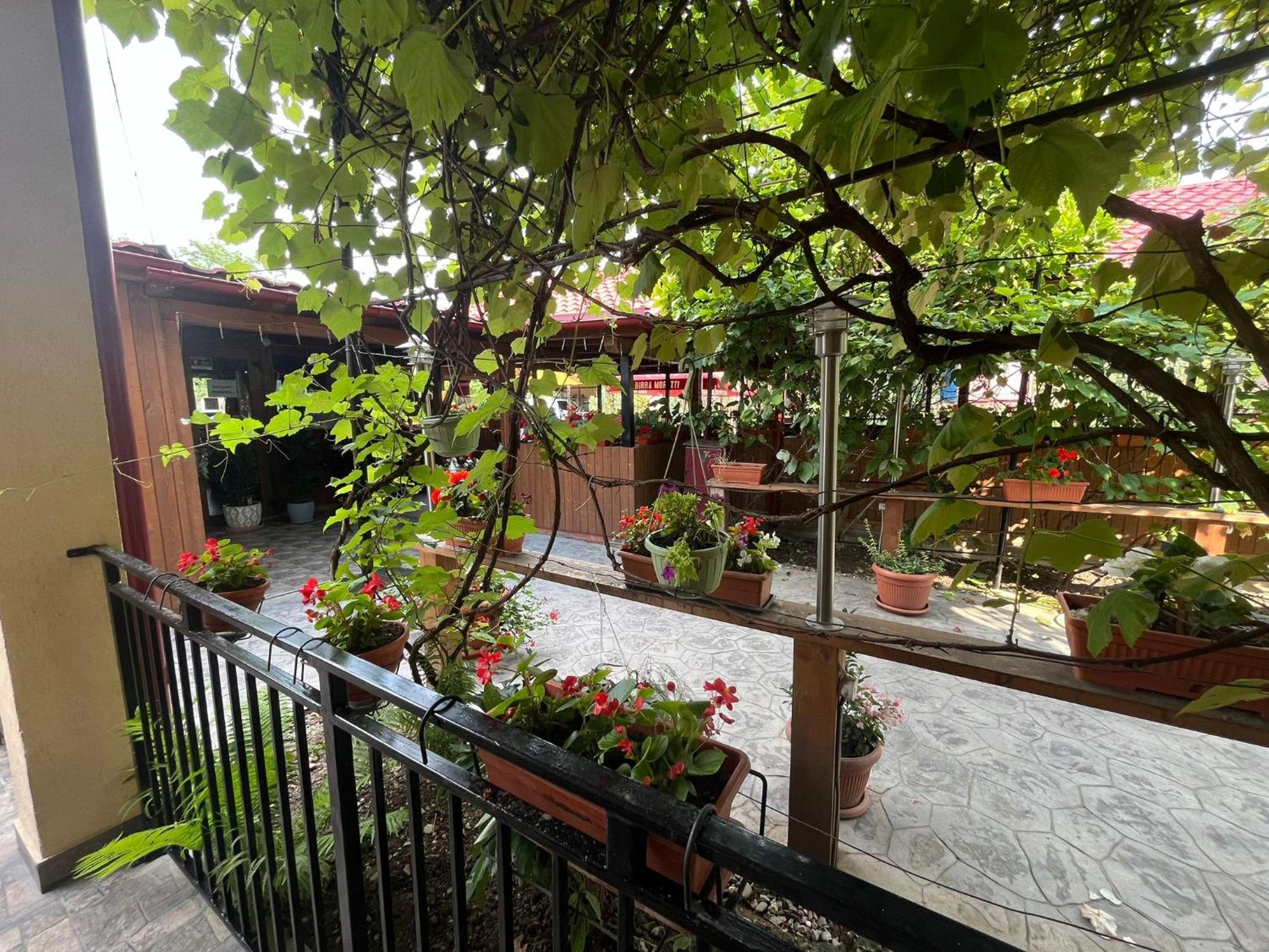 Kilometru108 Hotel Leordina Exterior photo